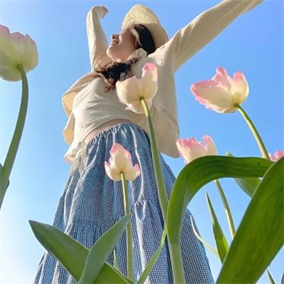 格子间女人 高清封面